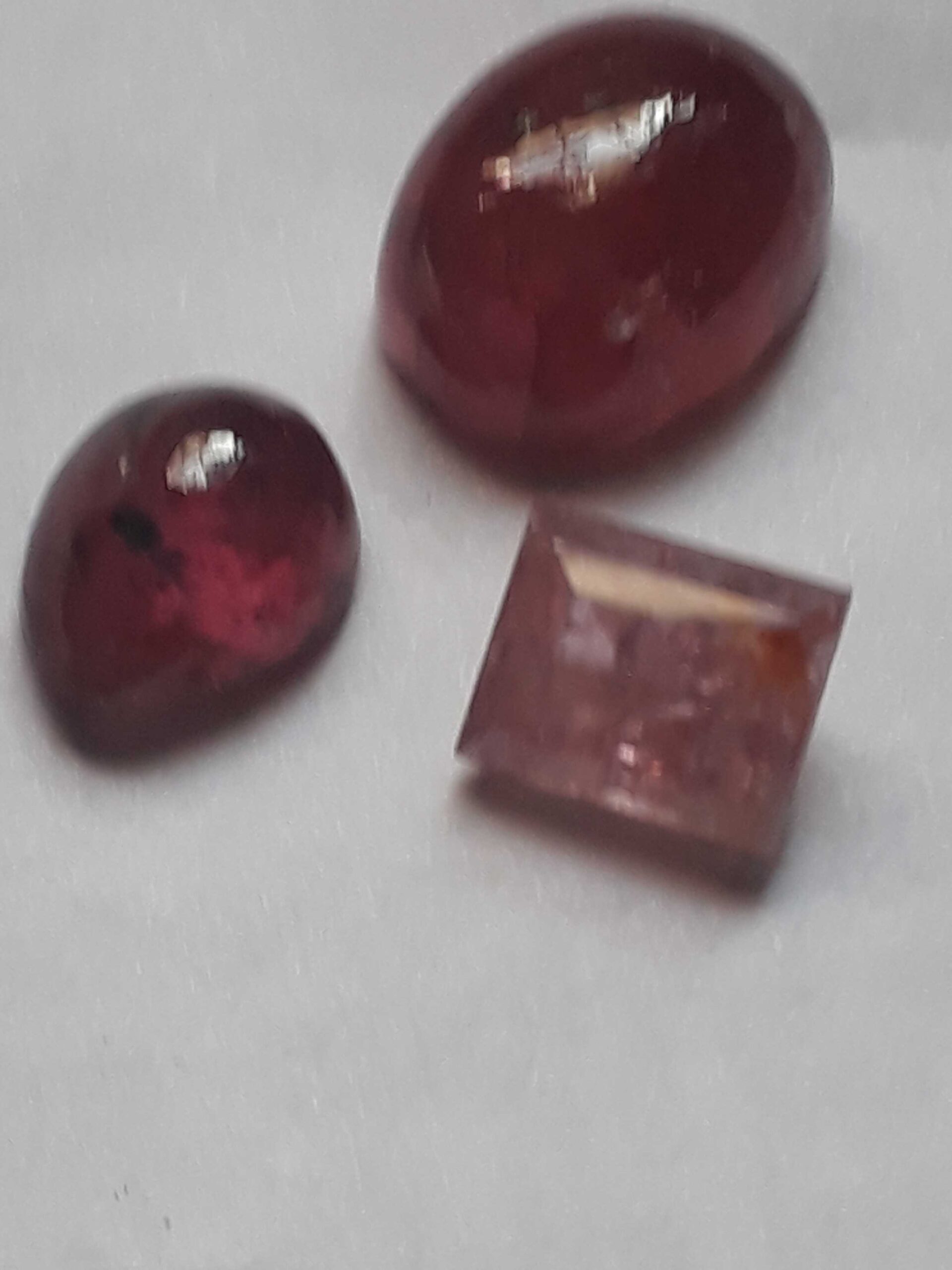 51fbf9f3-2c58-4b89-a03e-113158259584