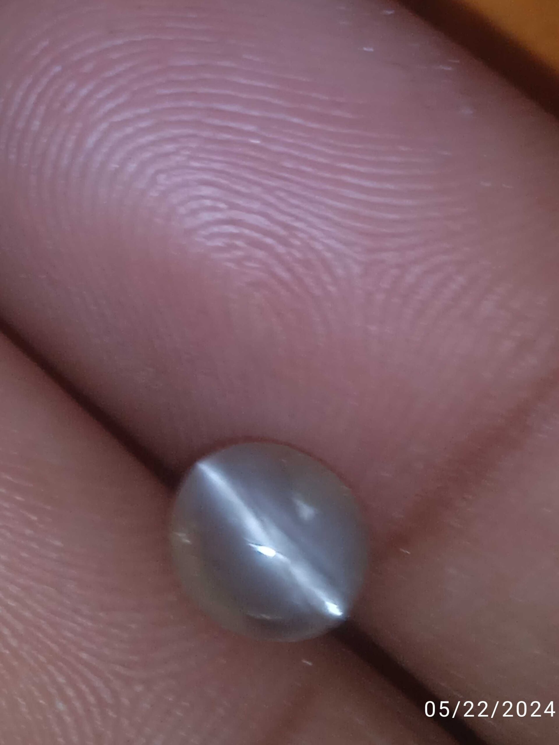 2e35cb1d-9d29-4e41-99b9-5533258c5728