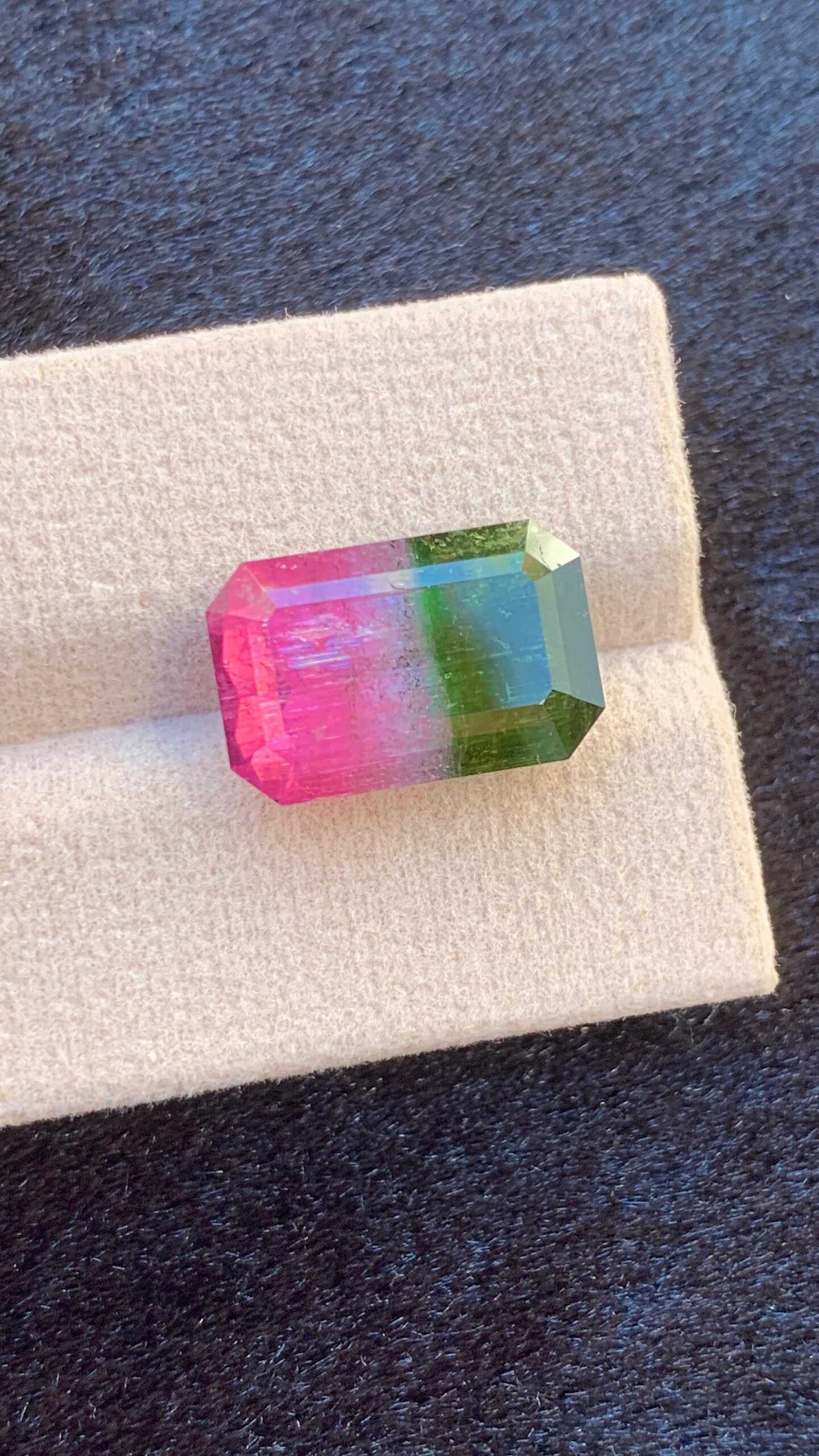 a1d27e89-cef8-420d-9422-e168565bb99c