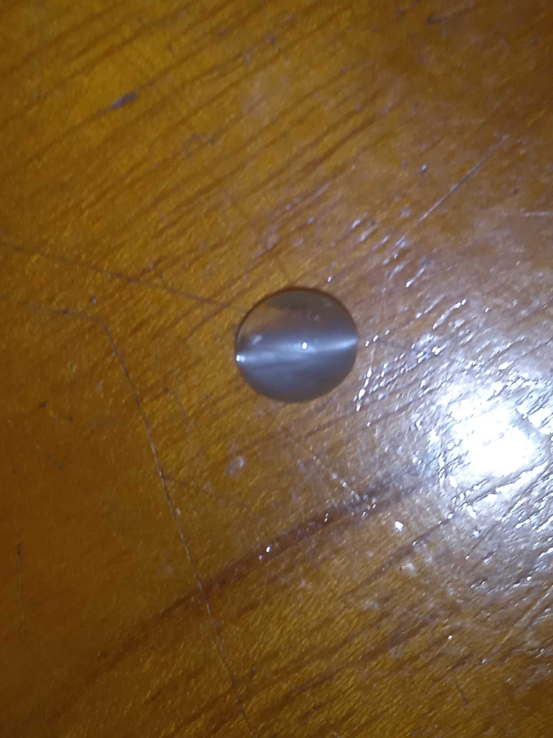 d87c6c2c-c6a2-4098-9dff-928bce9c7c12