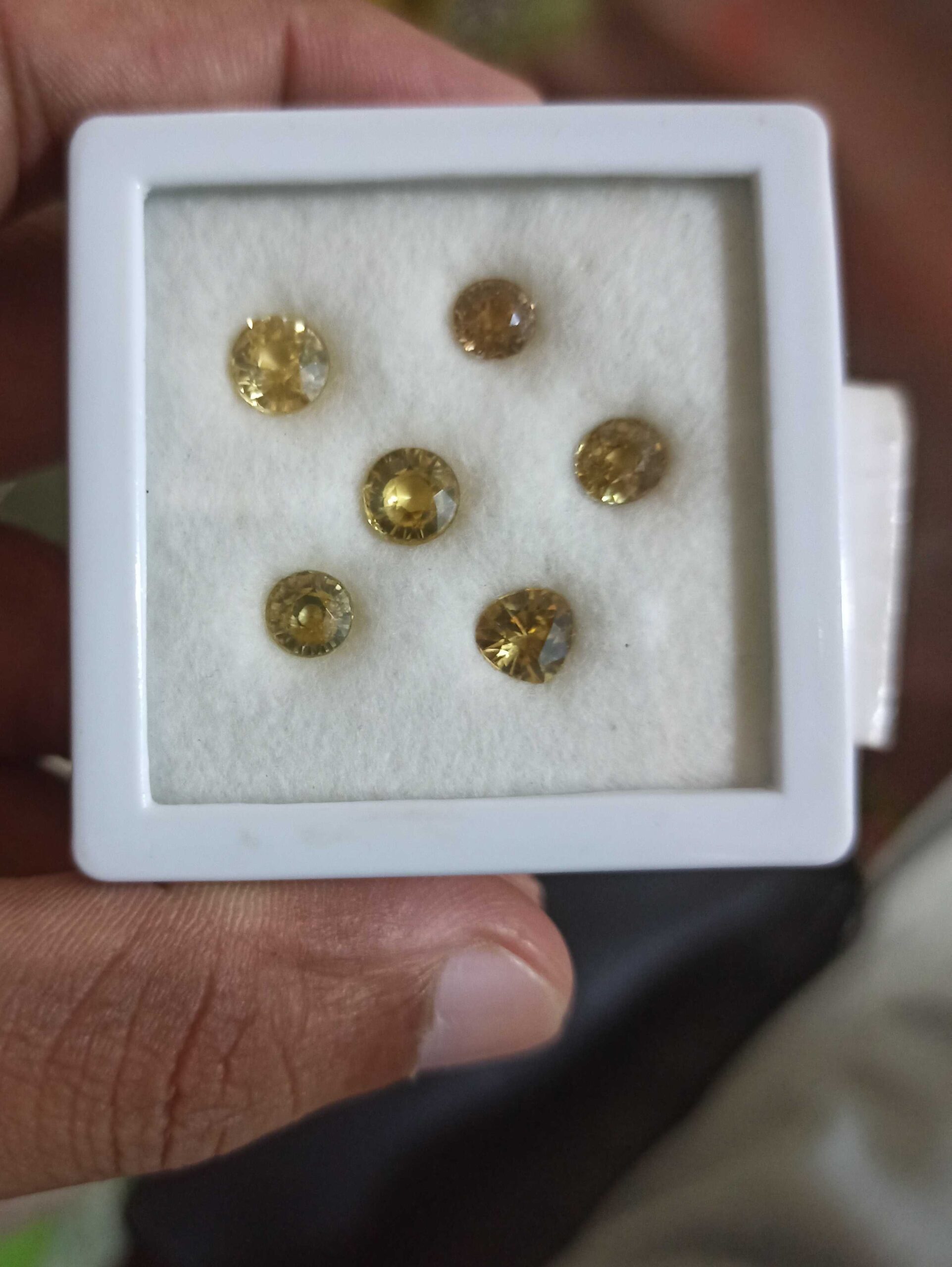 647d37ea-29b0-494e-8e41-93a3fda9a481-1