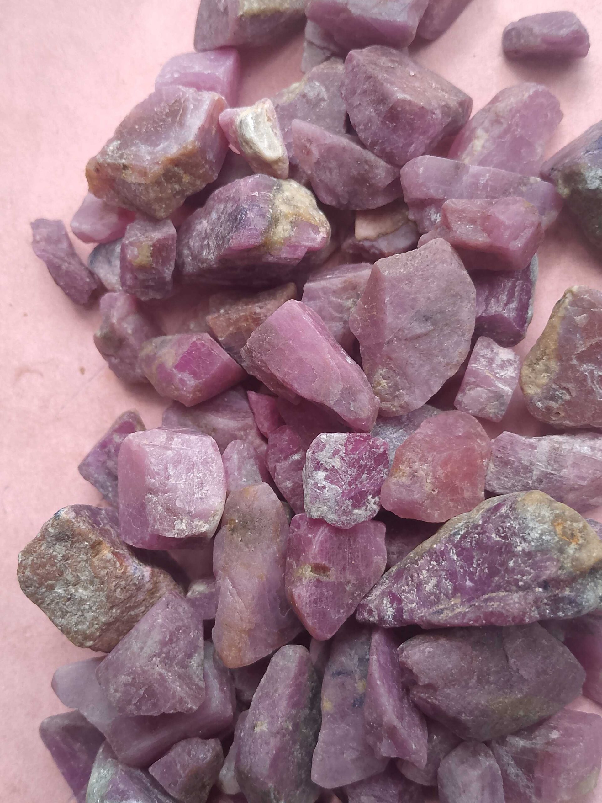 e447de3b-0c13-46e7-960e-5eb5805a52e6-2