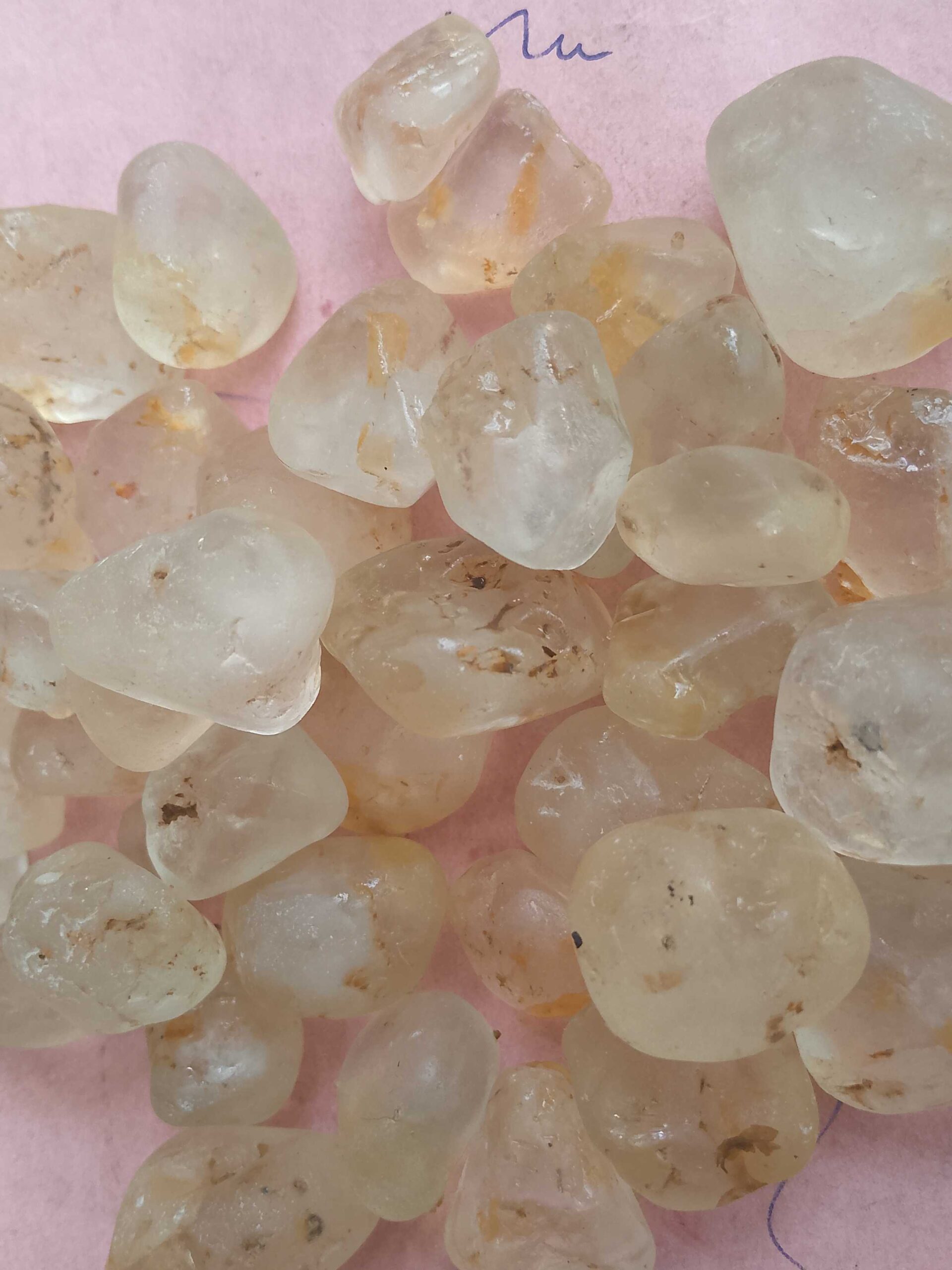 e5565c1b-7b3d-4729-b677-49addf0da876-1