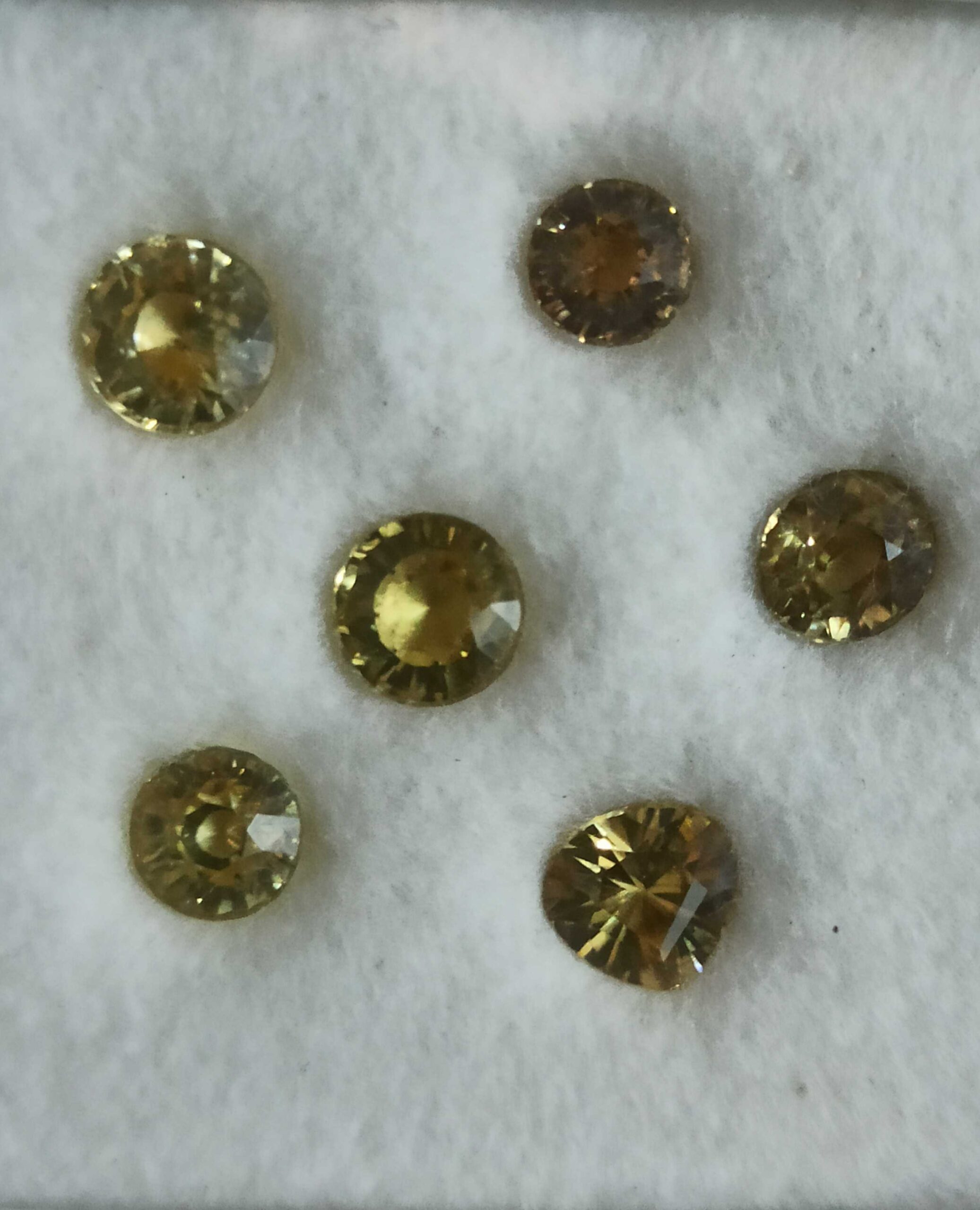 f1fdbc24-3642-4502-8bf4-24042777f2c9-1