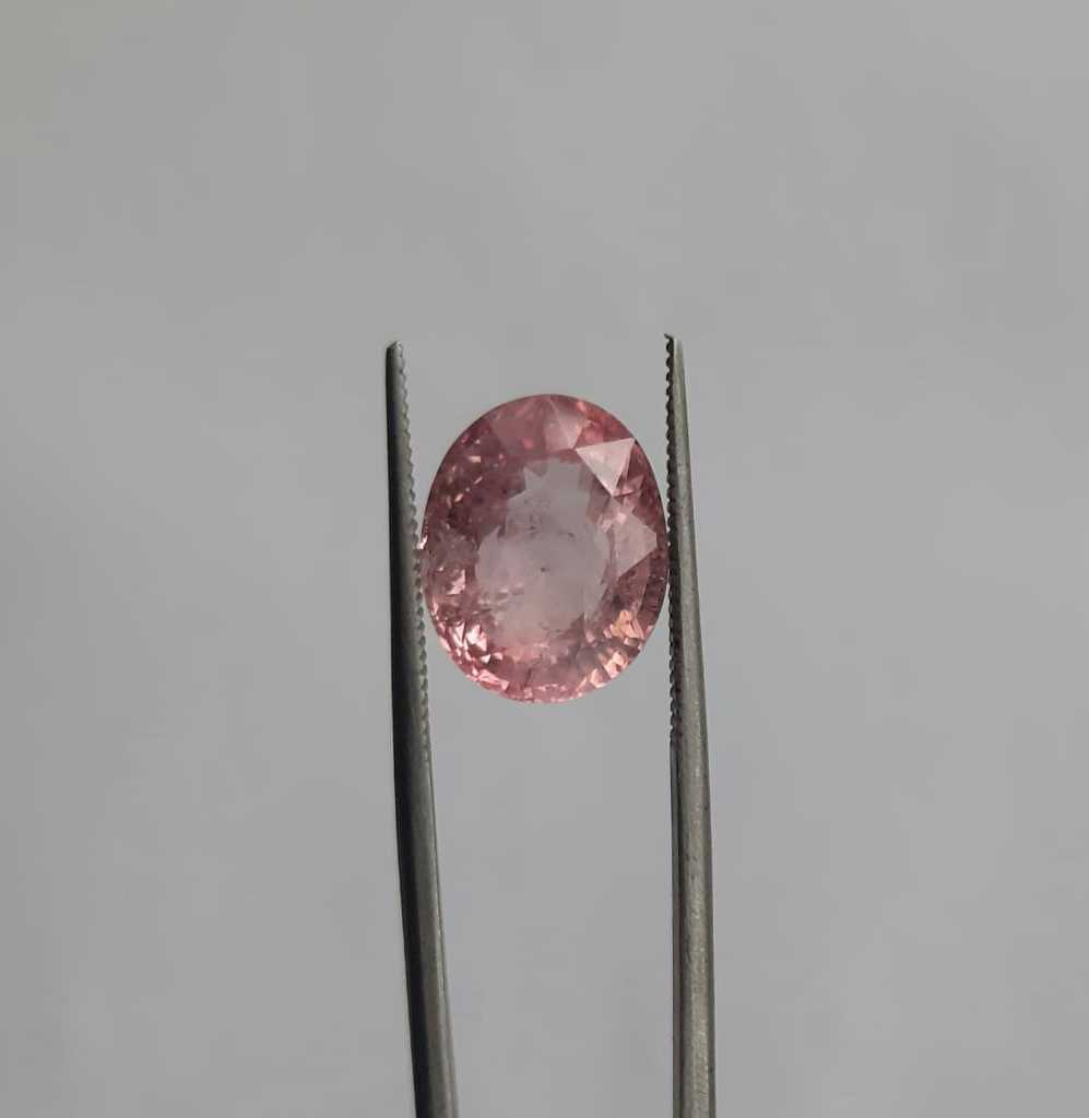 284cbae5-40ec-49e2-bfcf-e92af82f4c98