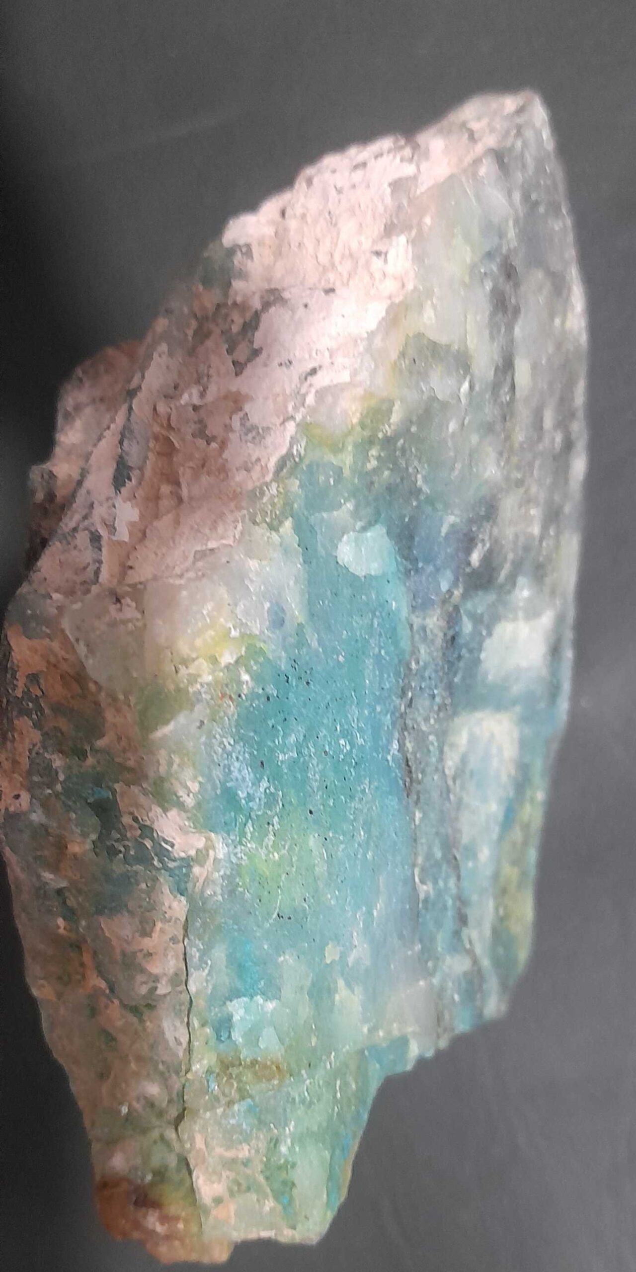 33c80f13-93da-48cc-b390-9ed41cdce476