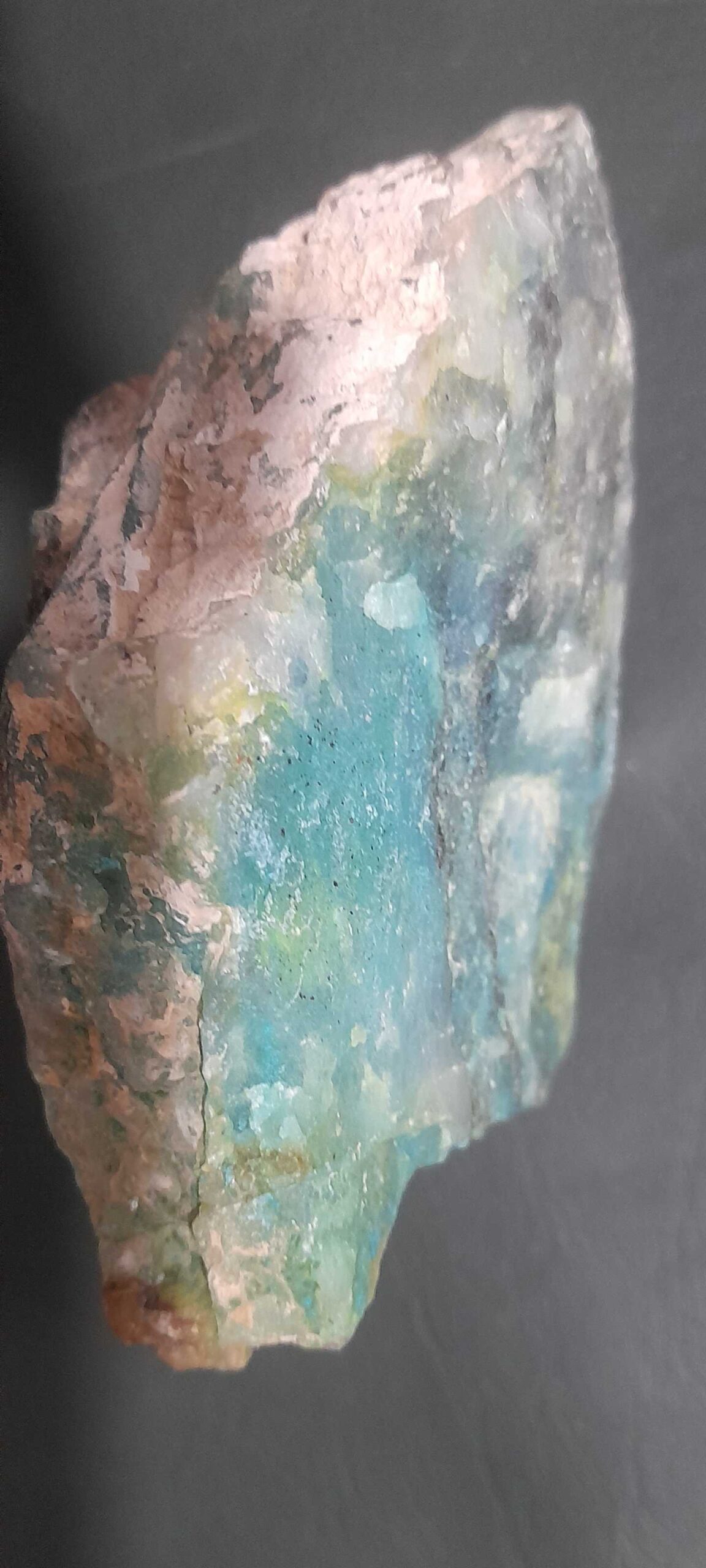 b5510982-62e9-4375-bdb3-d726918ebafb