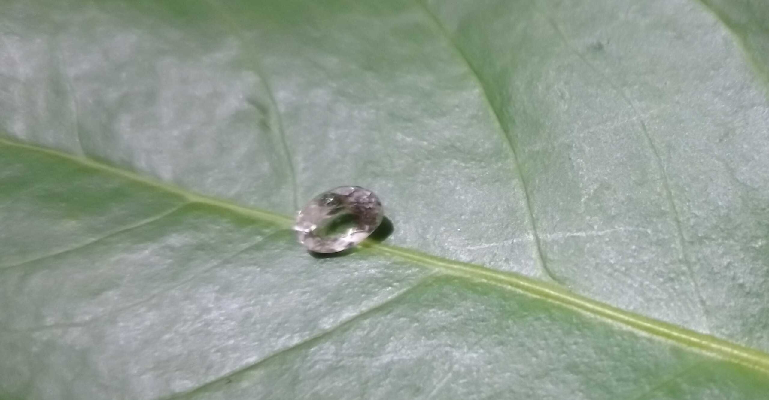 1923a327-69c5-4bdf-91c4-41acc727fd0e