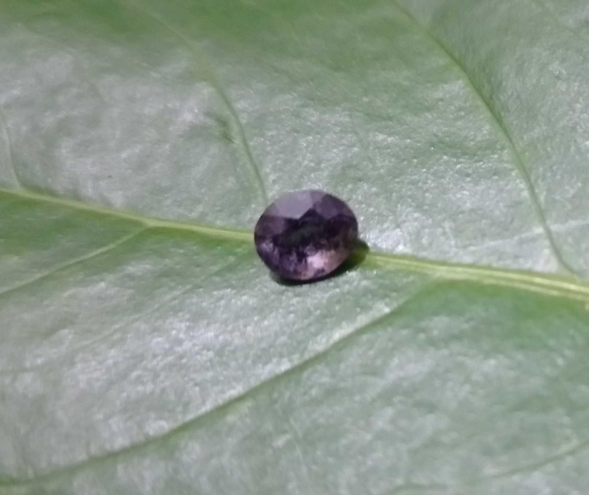 4de0d7fa-bfb9-4e46-8cf4-533251ba09c4