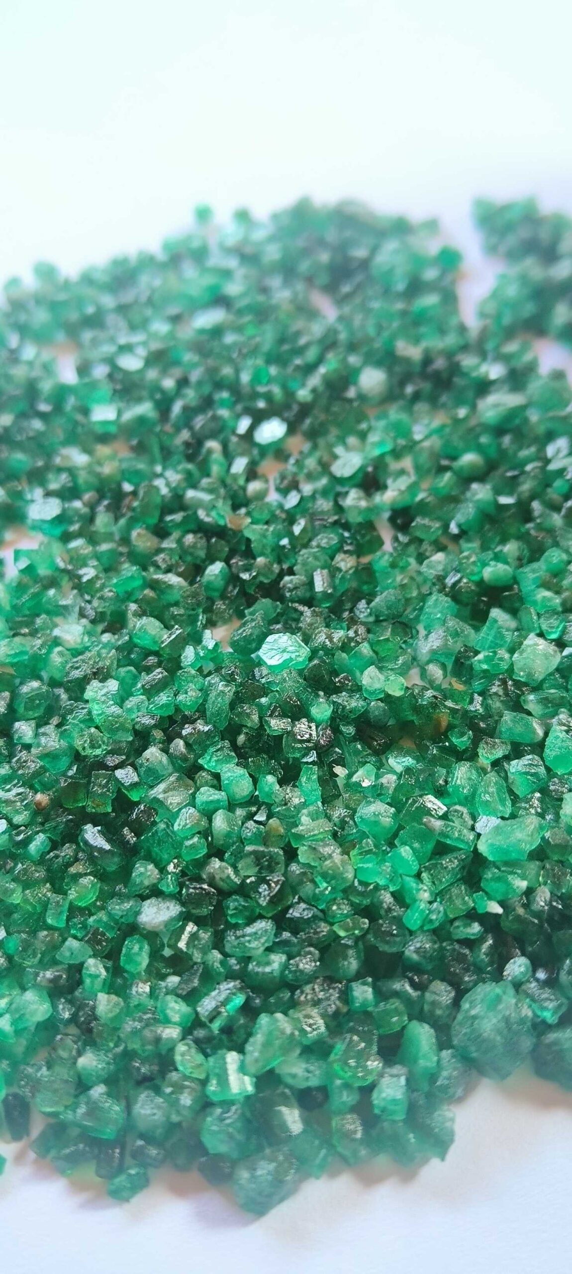 55b7d08c-e614-4d30-b33e-a29e55bd8ec3