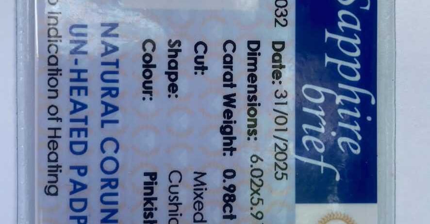0fda2d29-9913-4d06-a76b-2c5990480256
