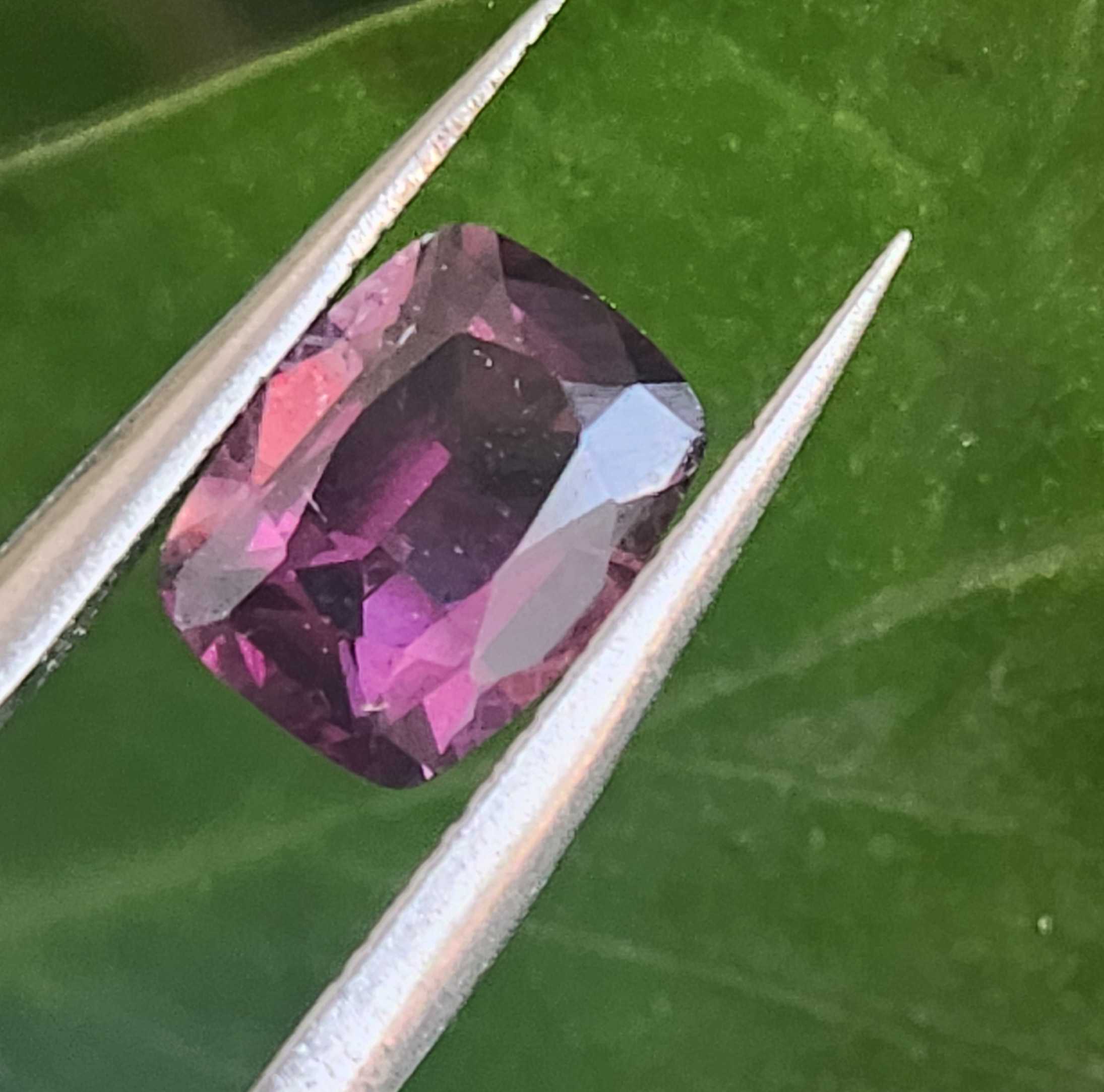 4d729dd3-7c9a-49a0-9816-e53523e6ab8d