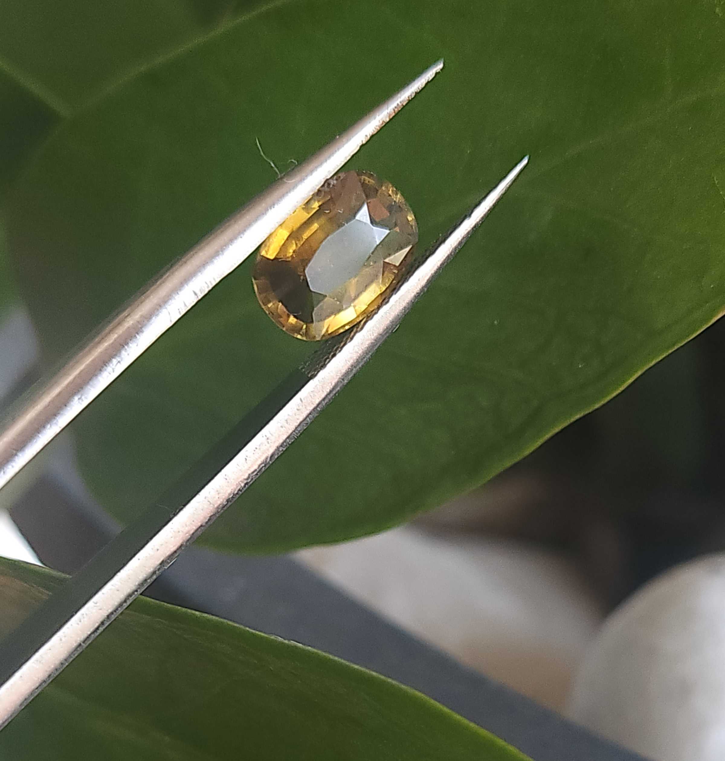 a80bf2a9-3933-4ec9-96a0-5e805c1aa86a