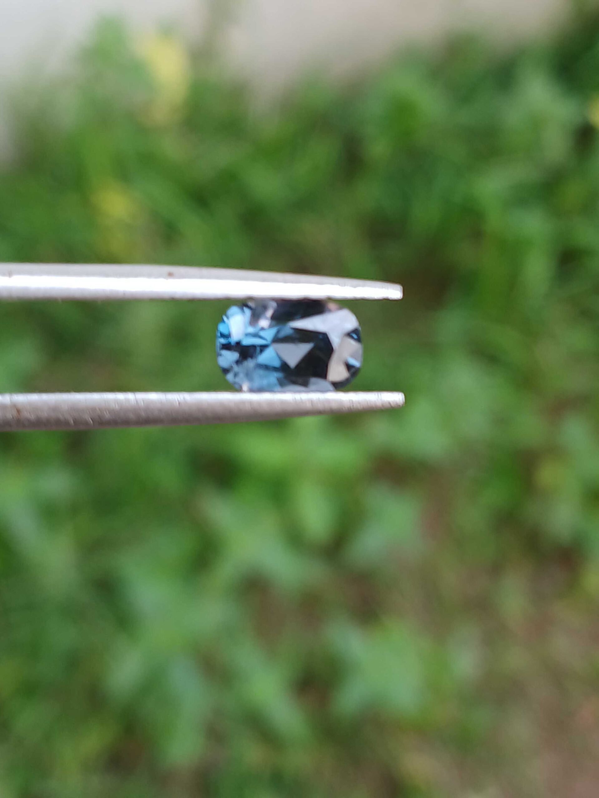 c9d02509-d2fb-4c89-a152-cb200c5fa16e